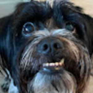 Meet your Posher, Whitney